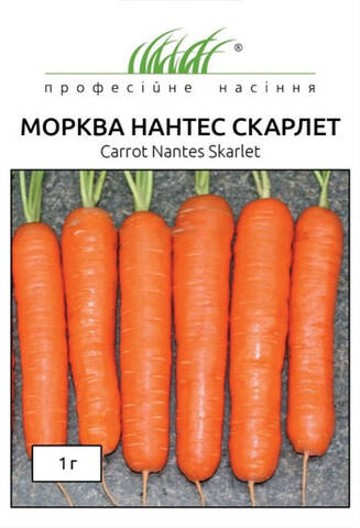Насіння моркви Нантес Скарлет 1 г (Професійне насіння) мудрый-дачник
