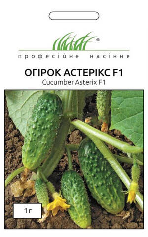 Насіння огірка Астерікс F1 10 шт (Професійне насіння) Купити