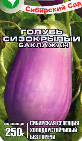 Семена баклажана Голубь Сизокрылый 20 шт (Сибирский сад) Купити
