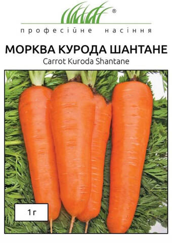 Насіння моркви Курода Шантане 1 г (Професійне насіння) Купити