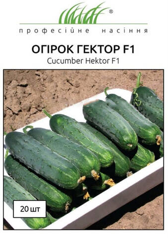 Насіння огірка Гектор F1 20 шт (Професійне насіння) цена