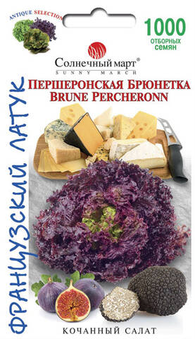 Насіння салату Першеронська брюнетка 1000 шт (Сонячний березень) цена