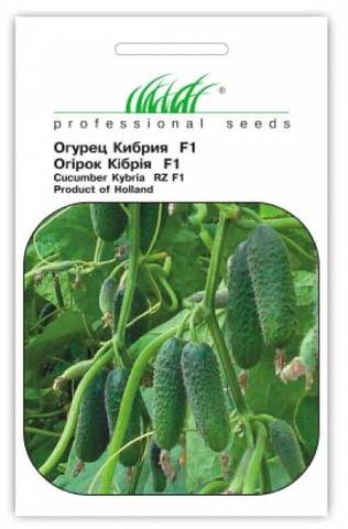 Насіння огірка Кібрія F1 10 шт (Професійне насіння) цена