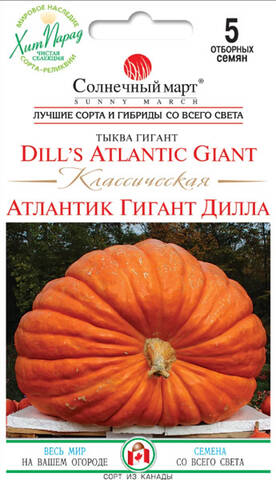 Насіння гарбуза Атлантик Класичний 5 шт (Сонячний березень) в интернет-магазине