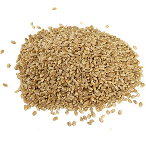 Пшеница для проращивания органическая 1кг Купити