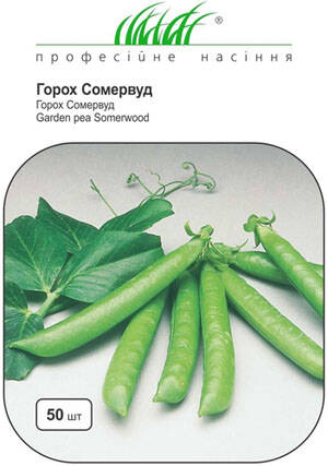 Насіння гороху Сомервуд 50 шт (Професійне насіння) фото