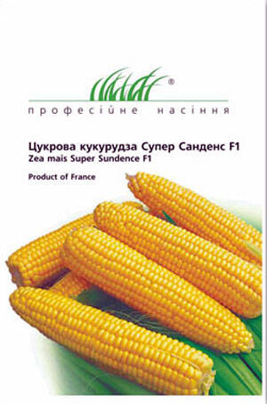 Семена кукурузы  Санданс F1 5г (Профессиональные семена) цена