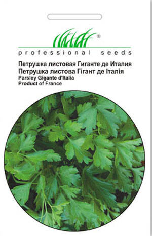 Насіння петрушки листової Гігант де Італія 1 г (Професійне насіння) мудрый-дачник