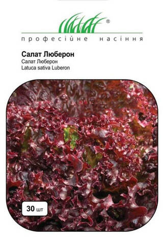 Насіння салату Люберон 30 шт (Професійне насіння) цена