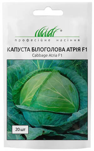 Насіння капусти білокачанної Атрія F1 20 шт (Професійне насіння) мудрый-дачник
