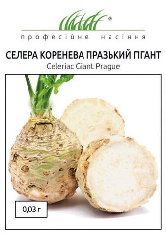 Насіння селери кореневої Празький Гігант 0.03 г (Професійне насіння) в интернет-магазине