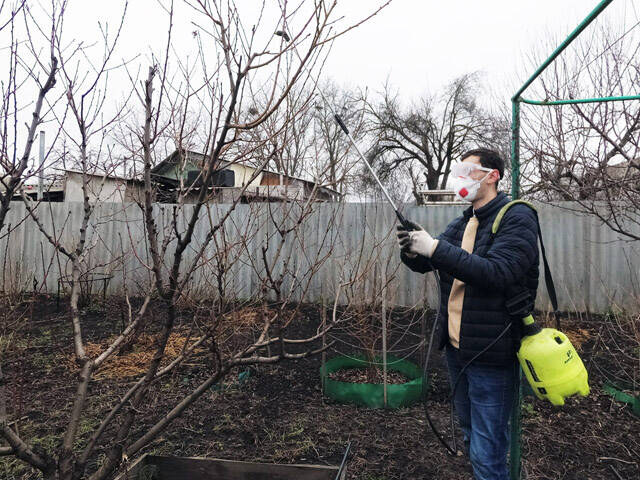 Перша обробка дерев до розпускання бруньок