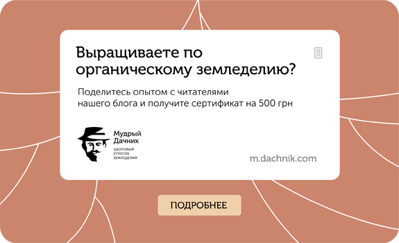 Нам нужны ваши статьи