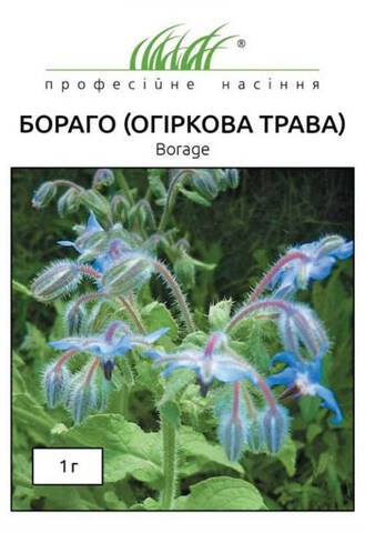 Насіння Бораго-Огіркової трави 1 г (Професійне насіння) недорого