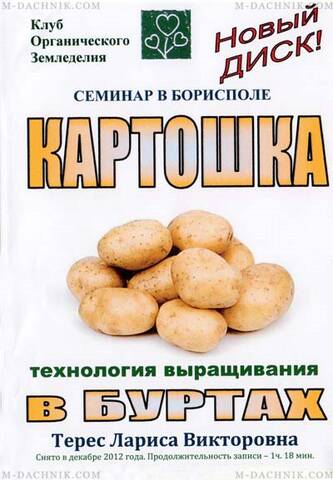 Картошка-технология выращивания в буртах описание