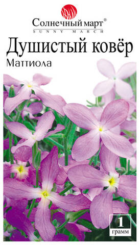 Семена Маттиолы Душистый ковер (Солнечный март) цена