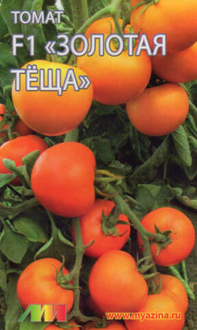 Семена томата Золотая теща F1 10шт (Любовь Мязина) Купить
