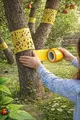 Ловчий пояс для плодових дерев 10см 2м в интернет-магазине