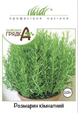 Насіння Розмарину кімнатного 0.05 г (Професійне насіння) стоимость