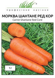 Семена моркови Шантане Ред Кор 1г (Профессиональные семена) купить