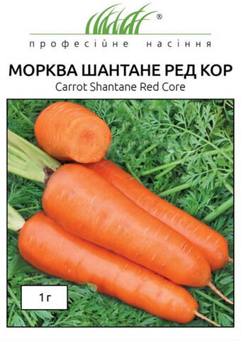 Насіння моркви Шантане Ред Кор 1 г (Професійне насіння) фото