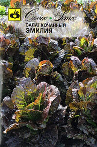Семена кочанного салата Эмилия (Агрофирма СемКо) недорого