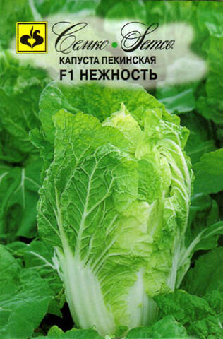 Семена пекинской капусты Нежность F1 0.2г (Агрофирма СемКо) Купить