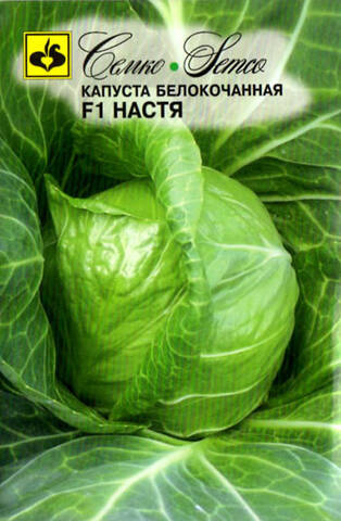 Семена капусты белокачанной Настя F1 0.3г (Агрофирма СемКо) стоимость