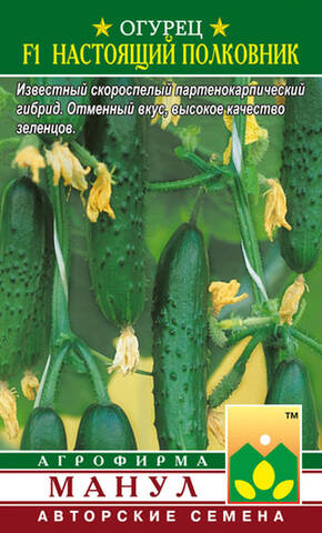 Насіння огірка Справжній Полковник F1 10 шт (Агрофірма Манул) дешево