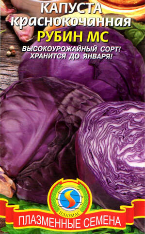 Семена капусты краснокочанной Рубин 0.3г (Плазменные семена) Купити