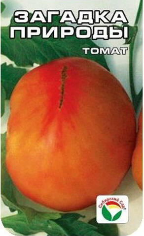 Насіння томату Загадка Природи 20 шт (Сибірський сад) фото
