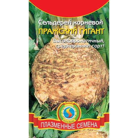 Семена сельдерея корневого Пражский Гигант (Плазменные Семена) дешево
