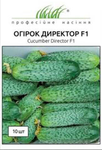 Семена огурца Директор F1 10шт  (Профессиональные семена) Купить