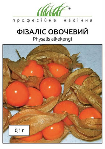 Насіння фізалісу овочевого 0.1 г (Професійне насіння) цена