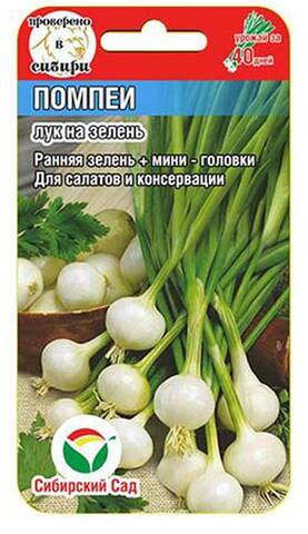 Семена лука на перо Помпеи 0.5г (Сибирский Сад) в интернет-магазине