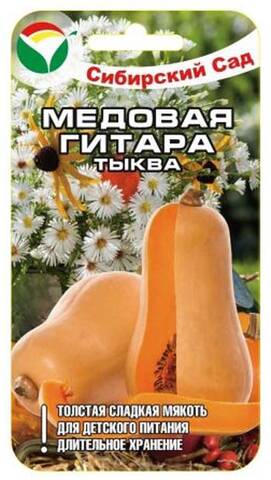 Семена тыквы Медовая Гитара 5шт (Сибирский Сад) стоимость