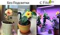 Светодиодный фитосветильник FitoLed 76Вт (биколорный) недорого