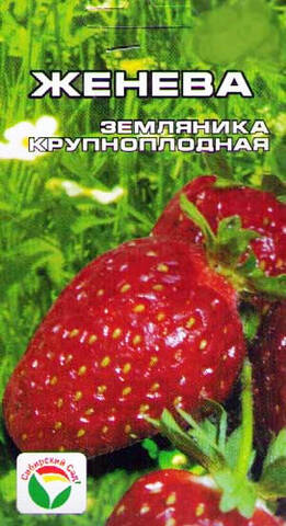 Семена клубники Женева 10шт (Сибирский Сад) фото