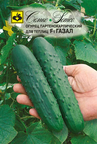 Семена огурца Газал F1  10шт (Агрофирма СемКо) отзывы