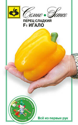 Семена перца Игало F1 5шт (Агрофирма СемКо) цена