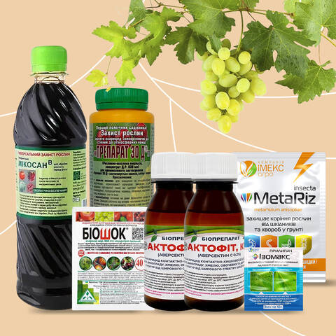 Баковая смесь биопрепаратов для обработки винограда в интернет-магазине