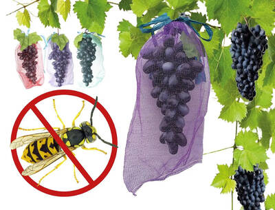 Мешочки для винограда от ос и птиц 2кг (22х33см) 50шт в интернет-магазине
