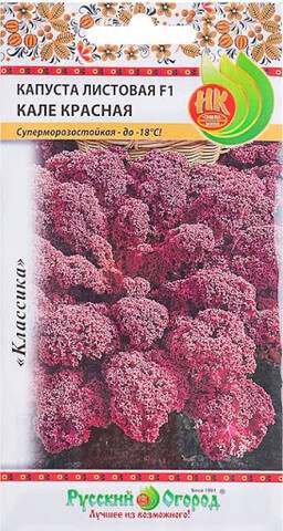 Насіння капусти листової червоної Кале F1 (Російський город) фото