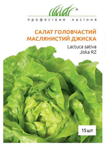 Насіння салату головчастого маслянистого Джиску 30 шт (Професійне насіння) описание