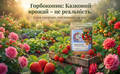 Кінський гній гранульований Горбоконик 2л в интернет-магазине