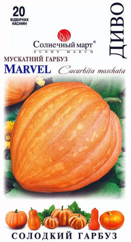 Семена тыквы Диво 20шт (Солнечный март) в интернет-магазине