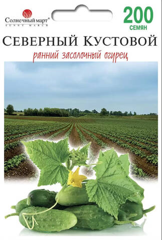 Насіння огірка Північний Кущовий 200 шт (Сонячний березень) недорого