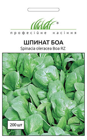 Насіння шпинату Боа 200 шт (Професійне насіння) цена
