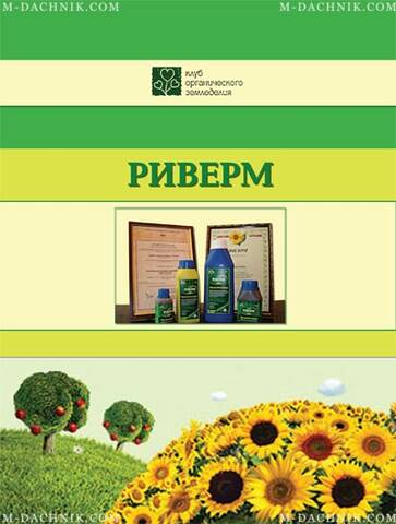 Брошюра Риверм описание