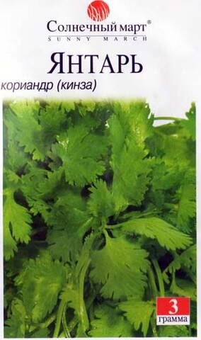 Семена кориандра Янтарь 5г (Солнечный март) дешево